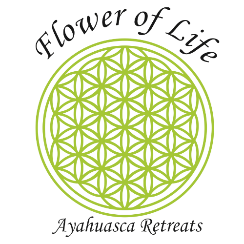 Flower Of Life MHFC (1)